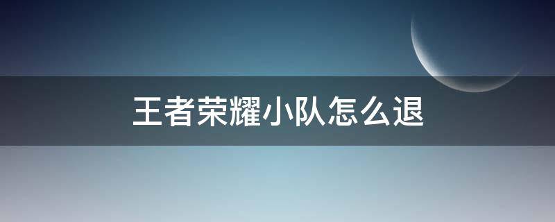 王者荣耀小队怎么退 王者荣耀小队怎么退出队长