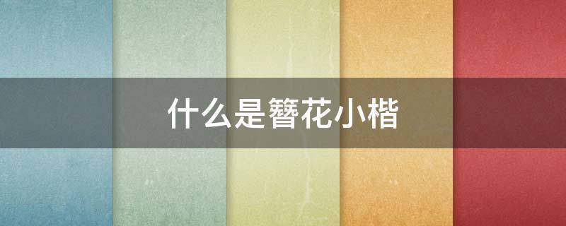 什么是簪花小楷 簪花小楷字