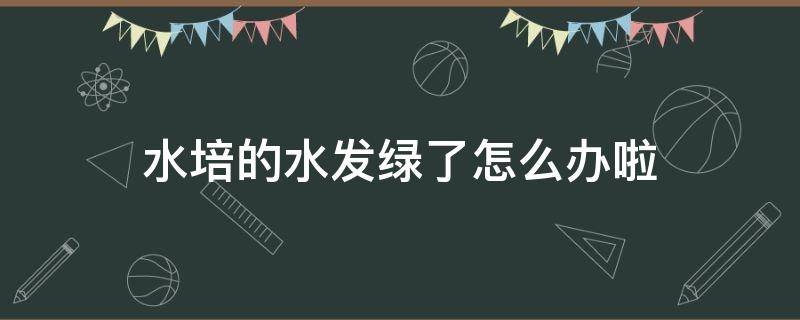 水培的水发绿了怎么办啦 水培植物水发绿怎么办