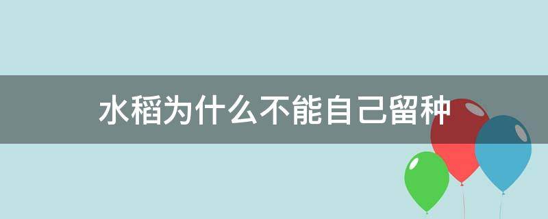 水稻为什么不能自己留种 为什么现在水稻不能留种