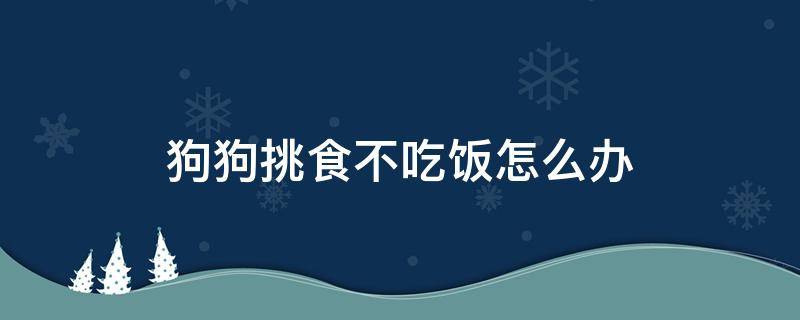 狗狗挑食不吃饭怎么办 狗狗挑食不吃狗粮怎么办