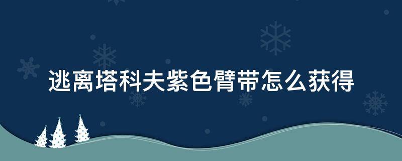 逃离塔科夫紫色臂带怎么获得（逃离塔科夫 紫色臂章）