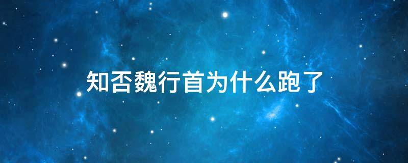 知否魏行首为什么跑了 知否 魏行首去哪里了