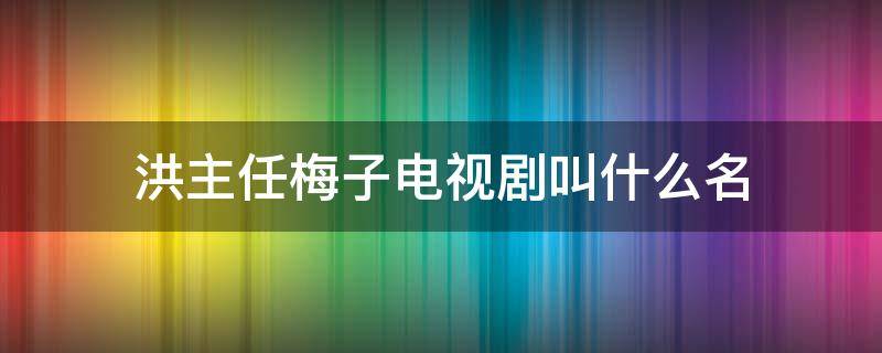 洪主任梅子电视剧叫什么名（洪晓梅是谁演的）