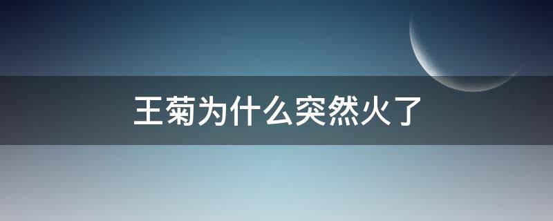 王菊为什么突然火了 王菊爆红的原因