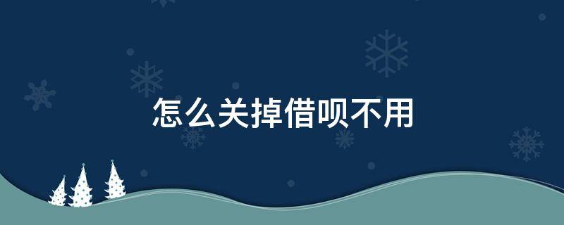 怎么关掉借呗不用（怎样关闭借呗不再使用）