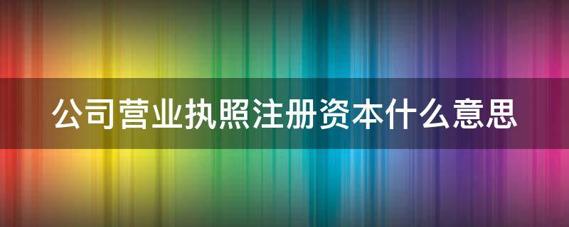 公司营业执照注册资本什么意思