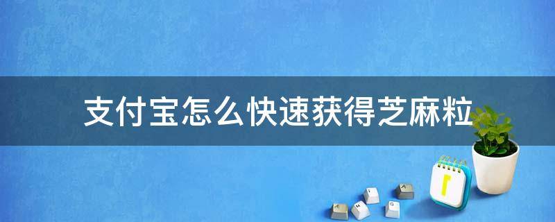 支付宝怎么快速获得芝麻粒（支付宝里面的芝麻粒怎么可以快速得到?）