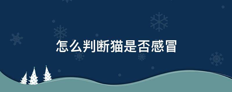 怎么判断猫是否感冒（怎样判断猫有没有感冒）