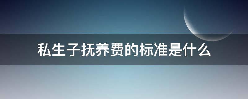 私生子抚养费的标准是什么