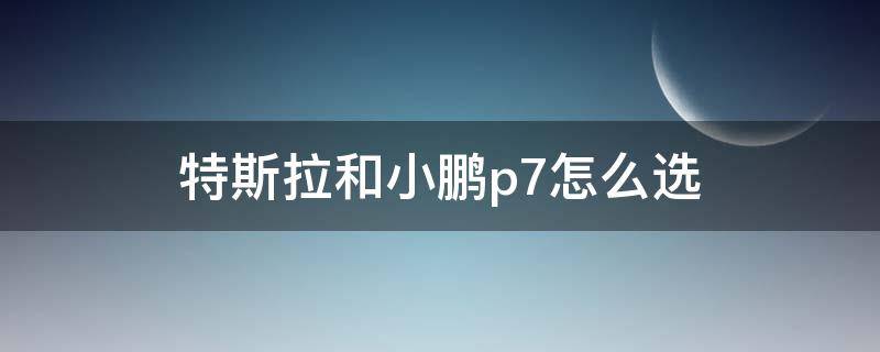 特斯拉和小鹏p7怎么选 小鹏p7与特斯拉的哪个型号一样