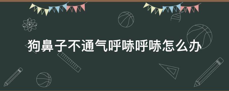 狗鼻子不通气呼哧呼哧怎么办（狗狗总是呼哧呼哧的喘气好像鼻子不通气一样）