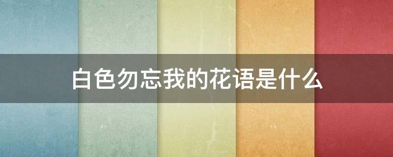 白色勿忘我的花语是什么（勿忘我的花语是什么）