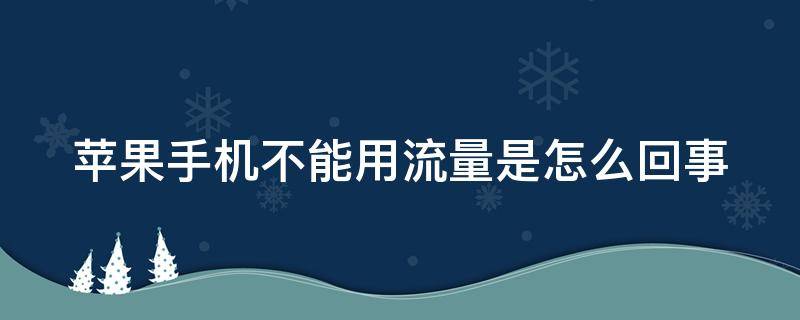 苹果手机不能用流量是怎么回事 苹果手机不能用流量是怎么回事呀