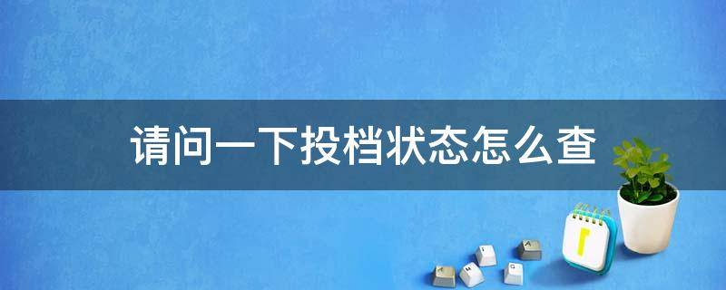 请问一下投档状态怎么查 投档状态哪里查