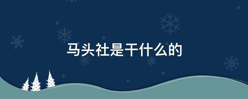 马头社是干什么的（为什么叫马头社）