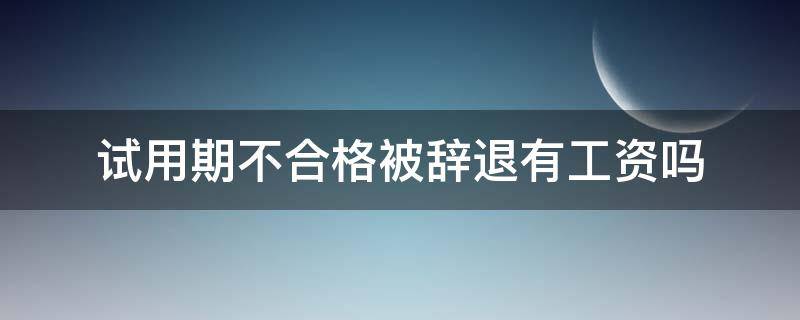 试用期不合格被辞退有工资吗 试用期不合格可以辞退员工吗?