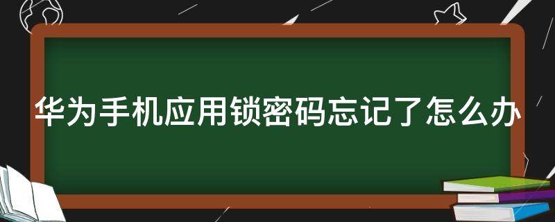 华为手机应用锁密码忘记了怎么办 华为手机应用锁密码忘记了怎么办没有指纹和脸部识别