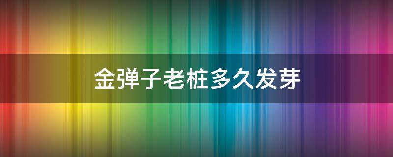 金弹子老桩多久发芽 金弹子桩子种完多久发芽