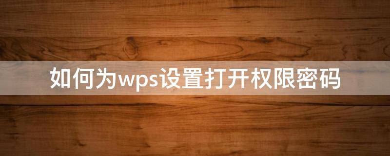 如何为wps设置打开权限密码（wps怎么打开权限）