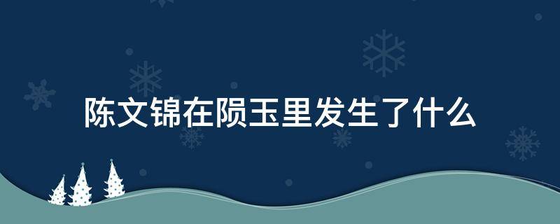 陈文锦在陨玉里发生了什么 陈文锦从陨玉里出来了吗