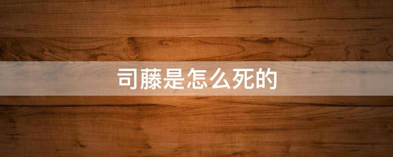 司藤是怎么死的 司藤最后死了么