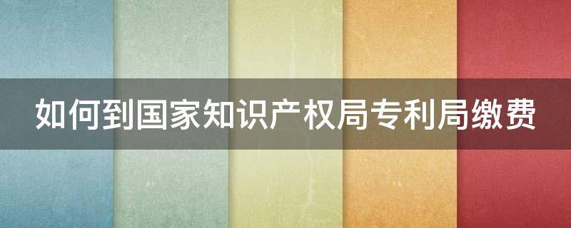 如何到国家知识产权局专利局缴费（如何到国家知识产权局专利局缴费单位）