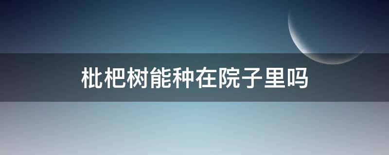 枇杷树能种在院子里吗（院里可以种枇杷树吗）