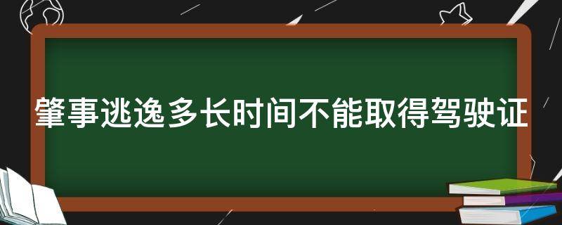 肇事逃逸多长时间不能取得驾驶证（肇事逃逸多长时间不能取得驾驶证信息）