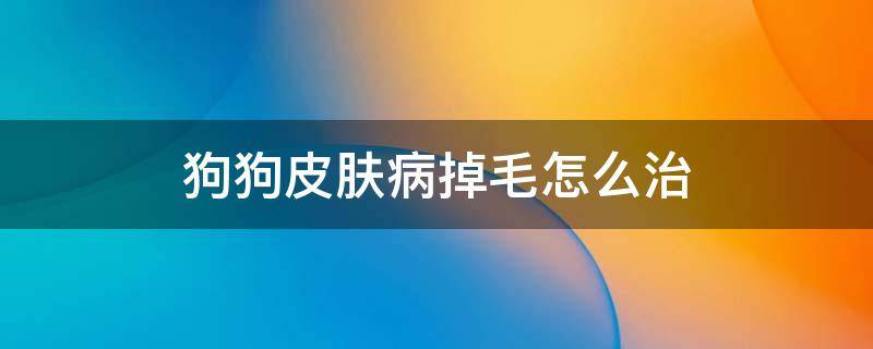 狗狗皮肤病掉毛怎么治 幼犬皮肤病掉毛怎么办