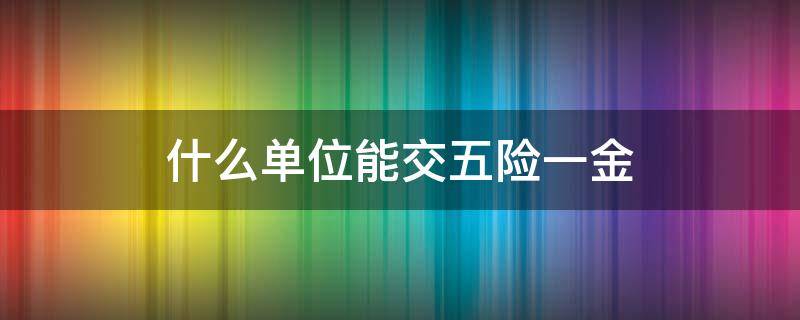 什么单位能交五险一金（什么样的单位可以缴纳五险一金）