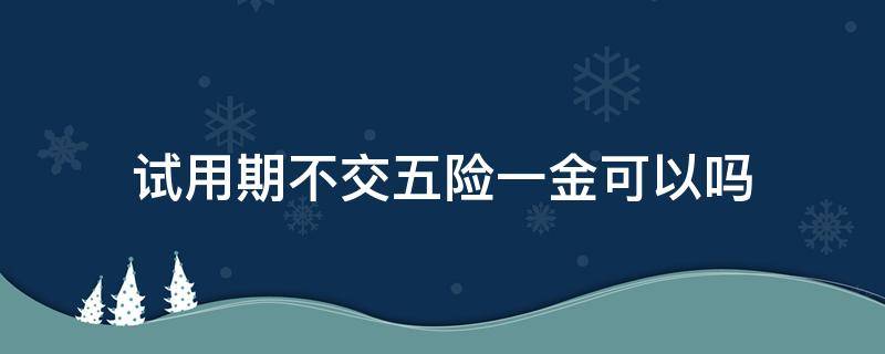 试用期不交五险一金可以吗 试用期内可以不交五险一金吗