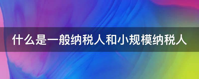 什么是一般纳税人和小规模纳税人 什么是一般纳税人和小规模纳税人的区别