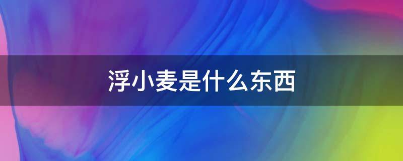 浮小麦是什么东西（浮小麦是啥东西）