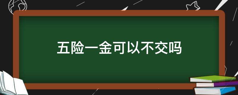 五险一金可以不交吗（没工作五险一金可以不交吗）