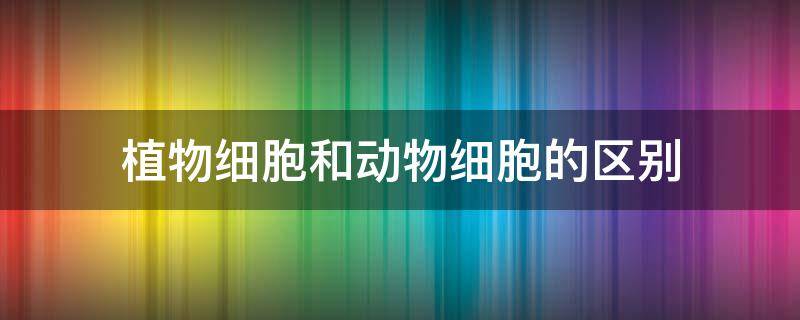 植物细胞和动物细胞的区别 植物细胞和动物细胞的区别是什么