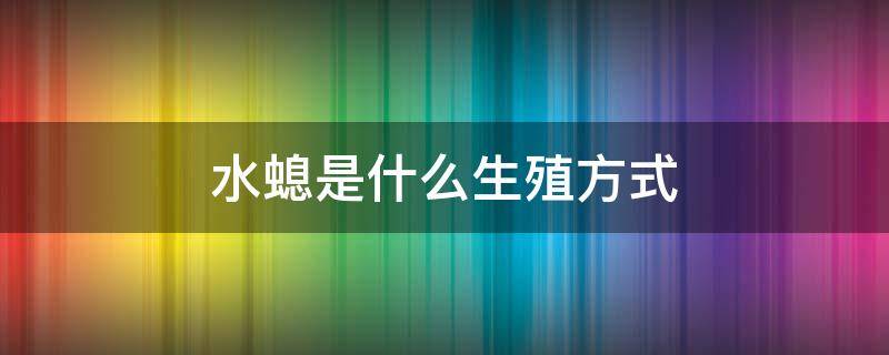 水螅是什么生殖方式 水螅是怎样生殖