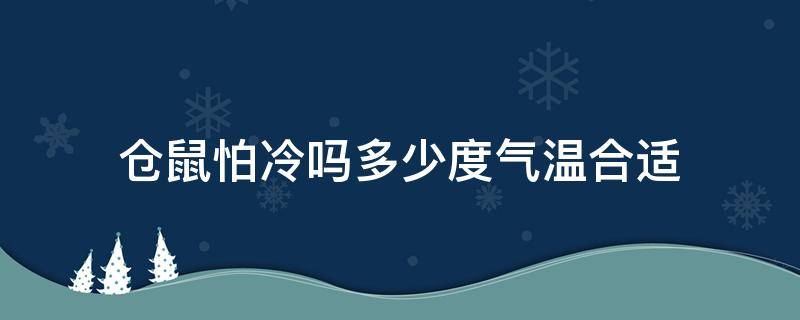 仓鼠怕冷吗多少度气温合适 仓鼠怕冷吗多少度气温最合适