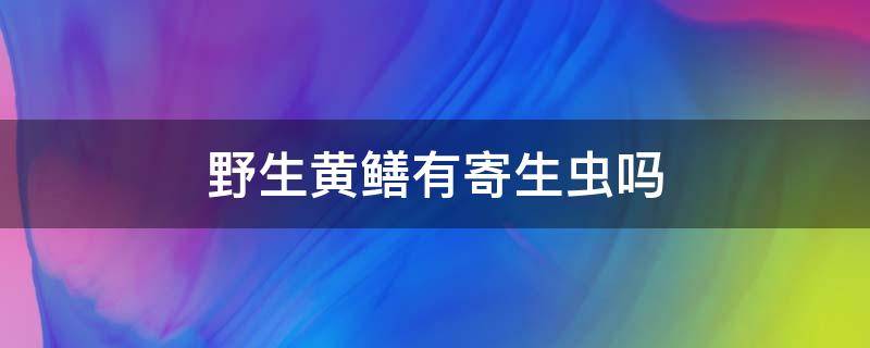 野生黄鳝有寄生虫吗 野生黄鳝有寄生虫吗?能看出来吗?