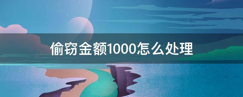 偷窃金额1000怎么处理（偷窃20000以上怎么处理）