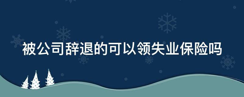 被公司辞退的可以领失业保险吗（被公司辞退可以领取失业保险吗）