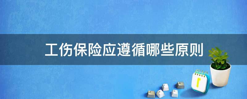 工伤保险应遵循哪些原则 工伤保险应遵循的基本原则