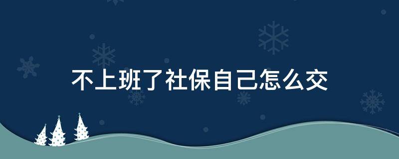 不上班了社保自己怎么交 不上班了自己交社保怎么交