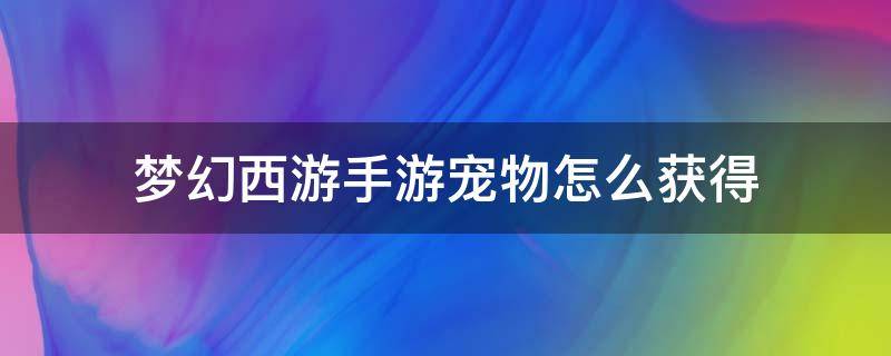 梦幻西游手游宠物怎么获得（梦幻西游手游宠物怎么获得珍品）