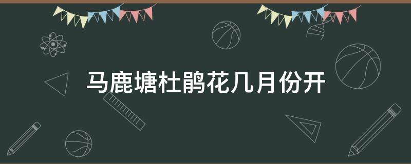 马鹿塘杜鹃花几月份开 禄劝马鹿塘杜鹃花3月底有花吗海什么时候开