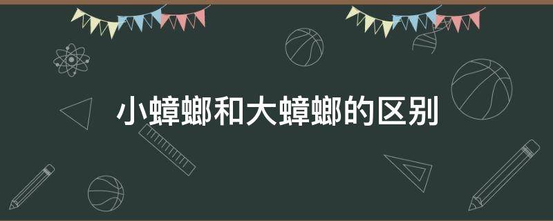 小蟑螂和大蟑螂的区别（小小的跟蟑螂差不多的是什么）