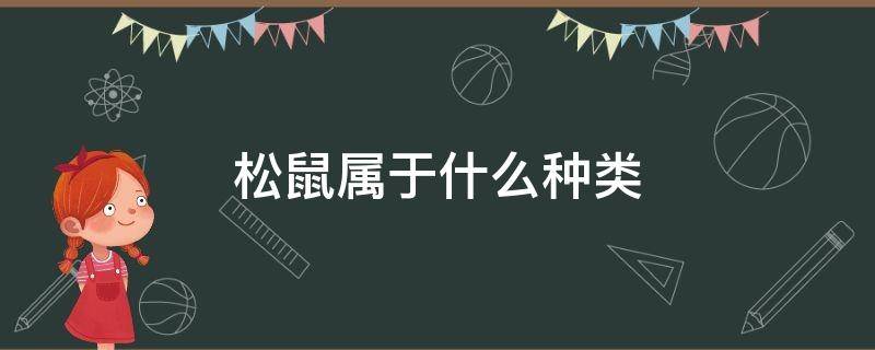 松鼠属于什么种类 松鼠有什么种类