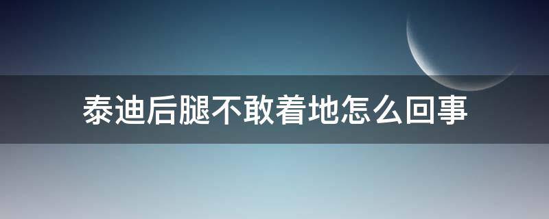 泰迪后腿不敢着地怎么回事（泰迪狗后腿不敢着地怎么办）