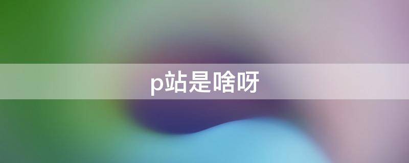 p站是啥呀 p站是什么