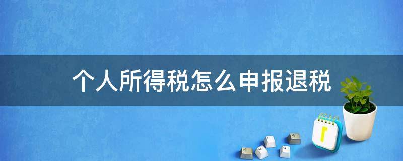 个人所得税怎么申报退税 个人所得税怎么申报退税子女教育